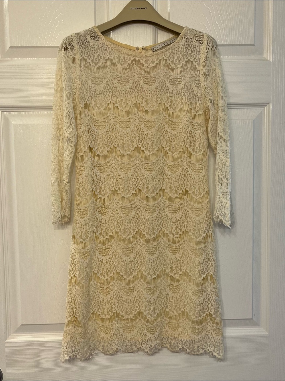 Potter's Pot Ivory Lace Long-Sleeve Shift Dress